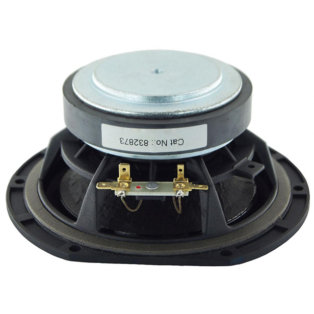 HDS-P832873