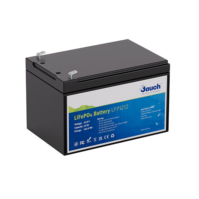 LFP 1212 12V 12AH