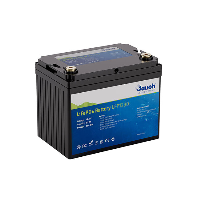 LFP 1230 12V 30AH