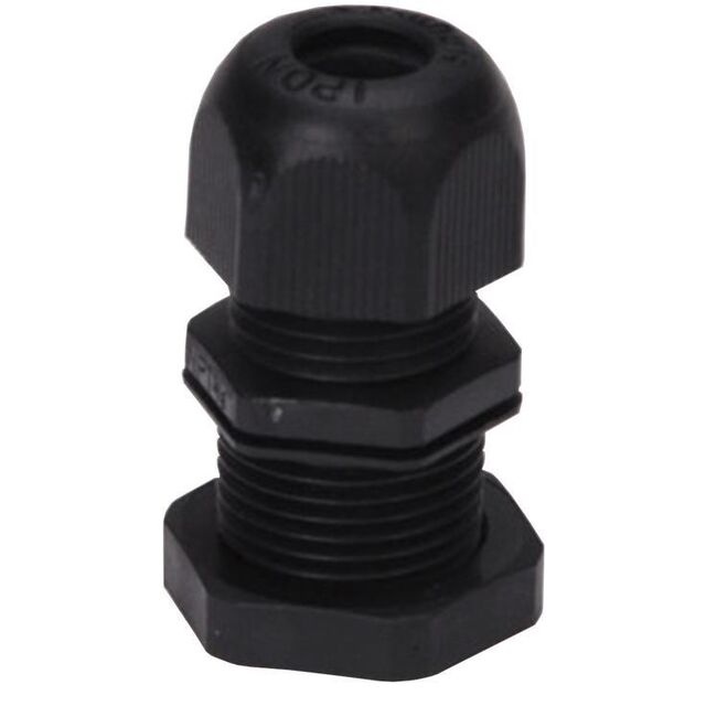 CG-NPT-038