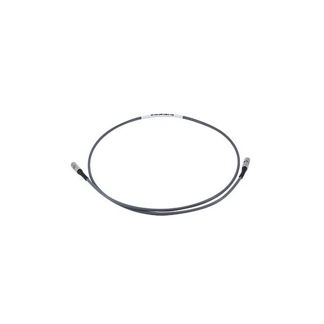 W100-SM1SM1-1M