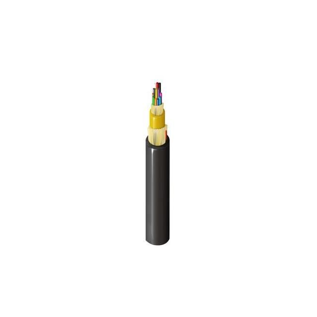 FDSM012P2