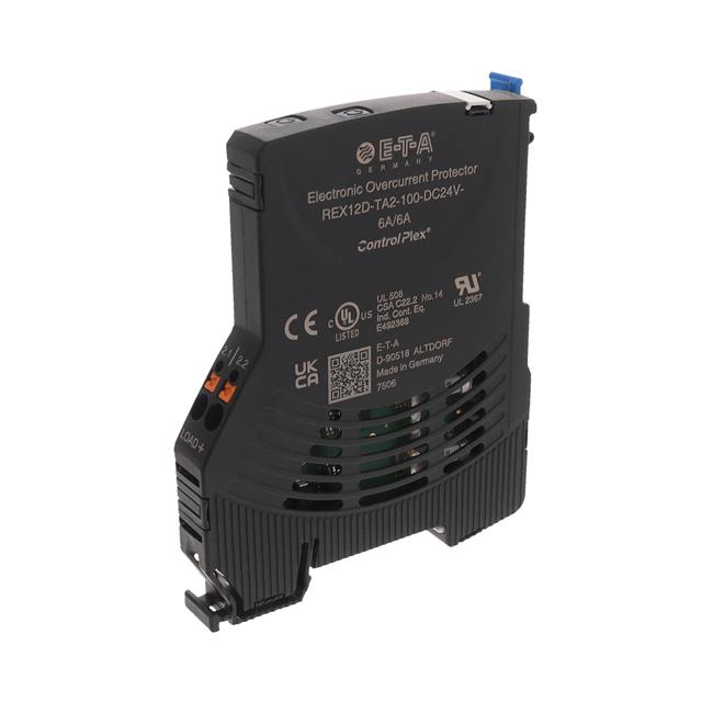 REX12D-TA2-100-DC24V-6A/6A