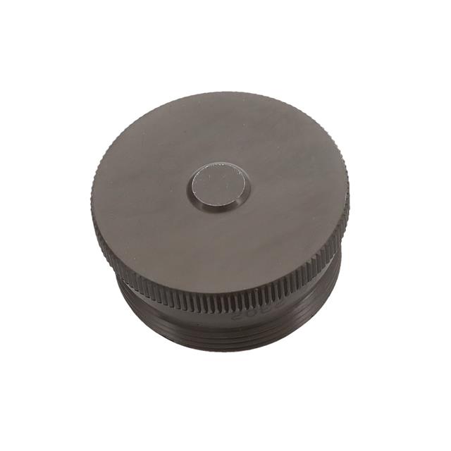 DUST CAP SZ 22 PLUG THREADED NO