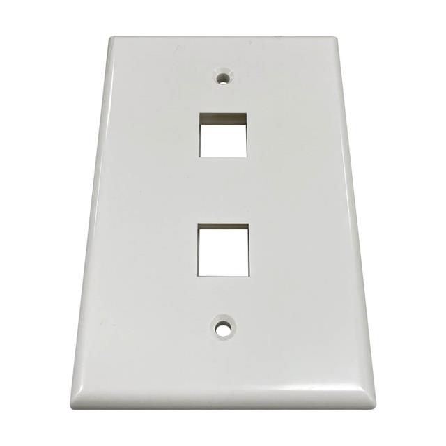 SAFE-IT 2-PORT SINGLE-GANG KEYST
