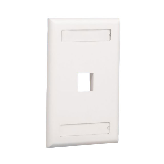 FACEPLATE FLUSH MOUNT