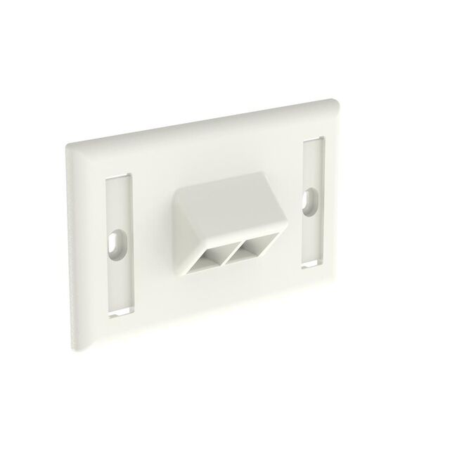 FACEPLATE SNGL GANG SLOPE 2PORT
