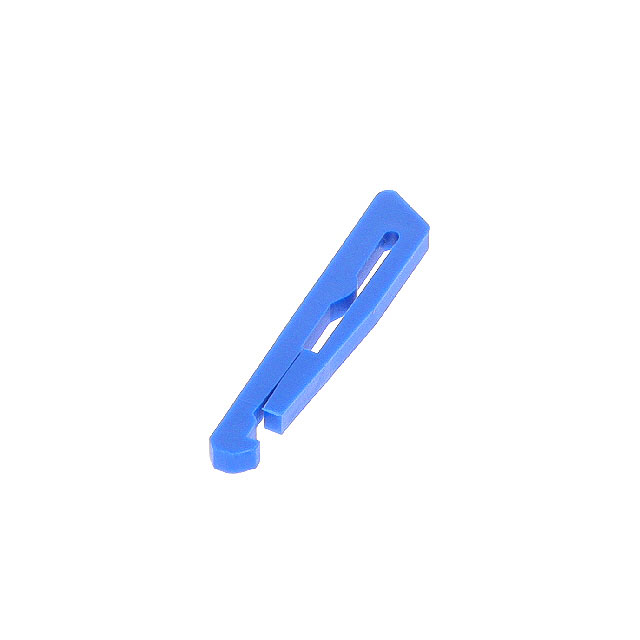 POLARIZING KEY