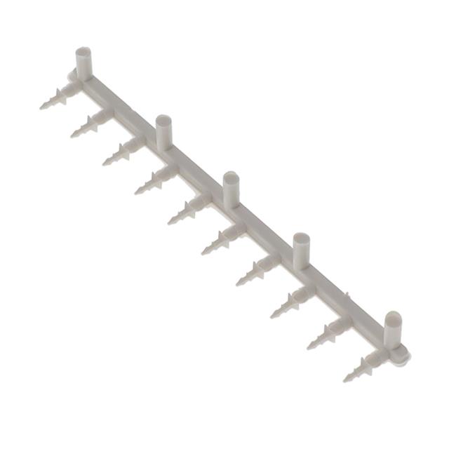 POLARIZING KEY