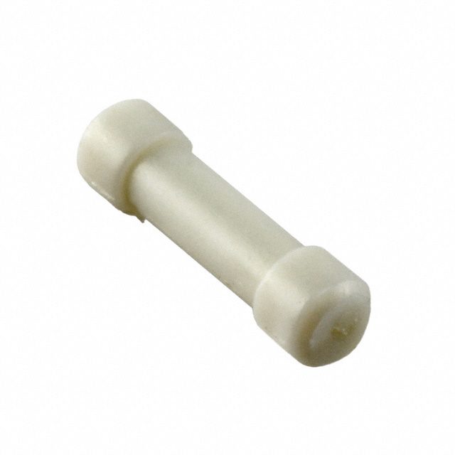 DUMMY PLUG