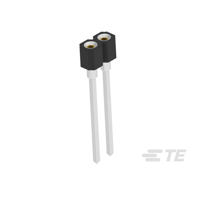 SIP SKT 02POS AU FLASH