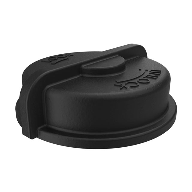 FLS2SC4001BP