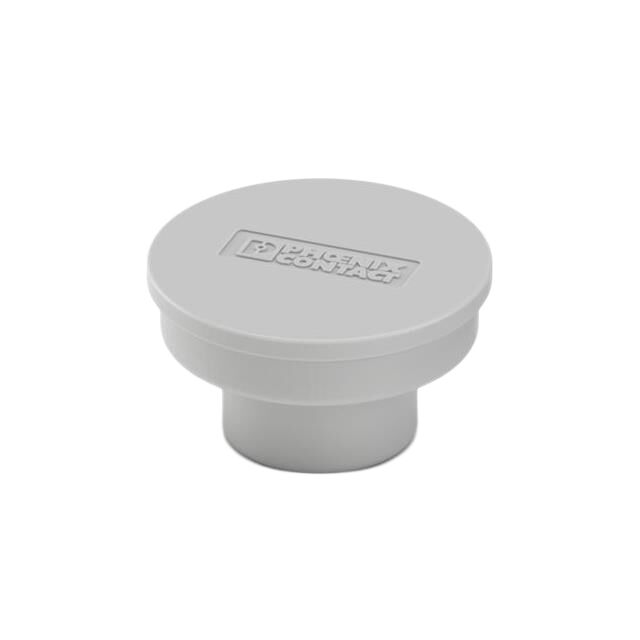 BATTERY POLE PLUG CAP
