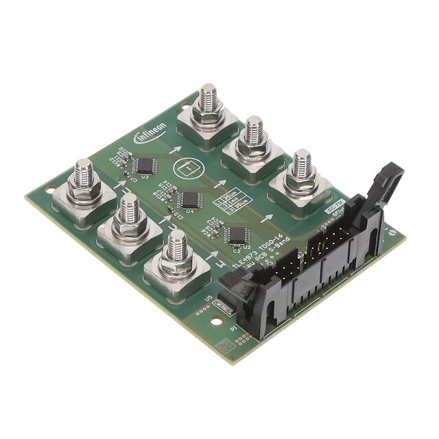 TLE4973 EVAL INLAY