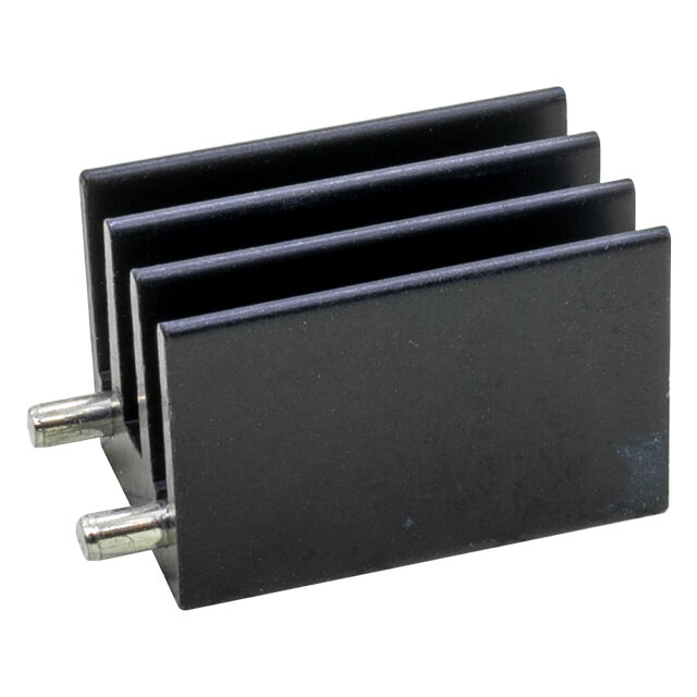 HSE19-361616P