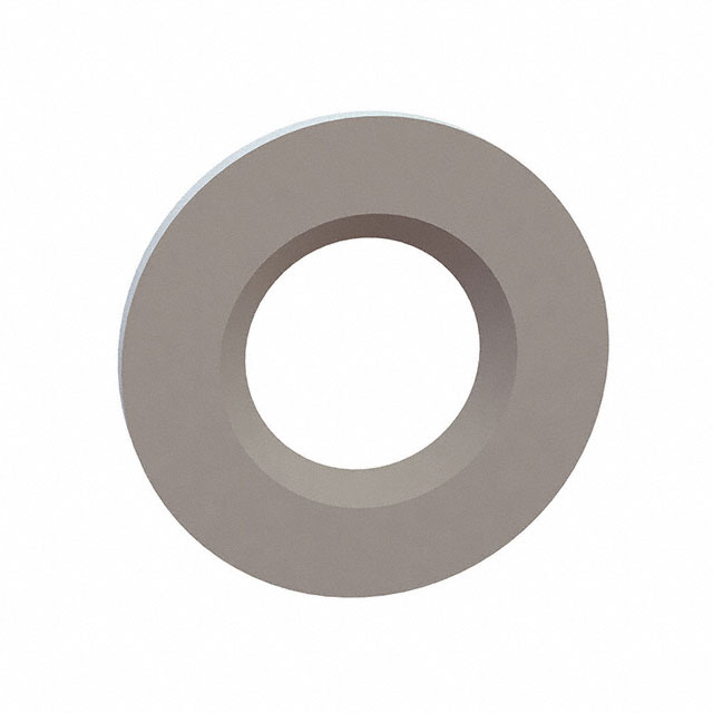 FLAT WASHER, .301 ID, .620 OD, .
