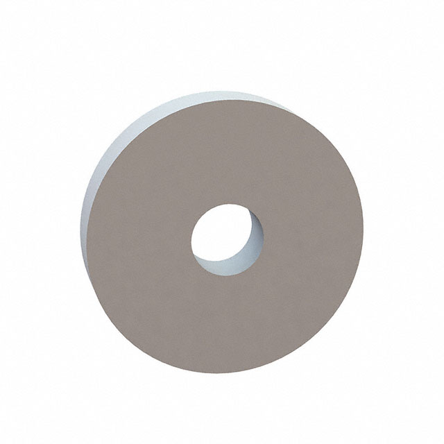 FLAT WASHER, .165 ID, .630 OD, .