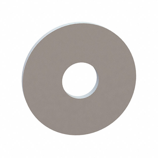 FLAT WASHER, .217 ID, .670 OD, .