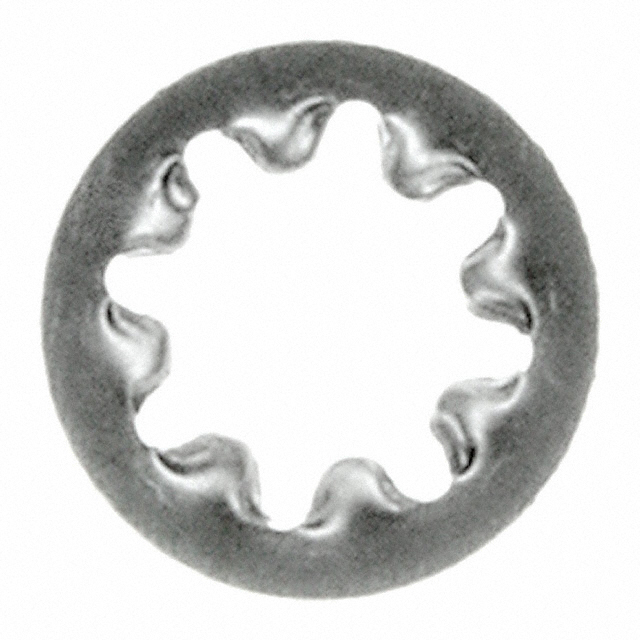 WASHER INT TOOTH #2 STN STEEL