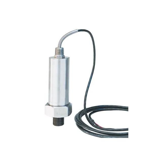 ULTRA HIGH-PRESSURE TRANSDUCER,