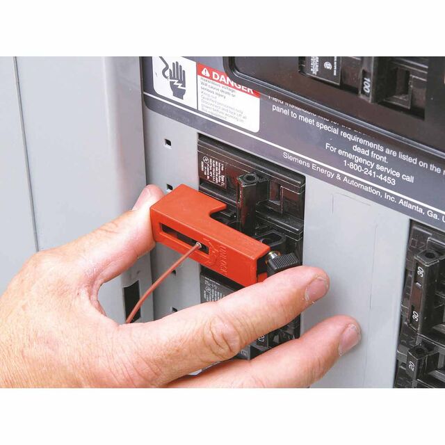 51254