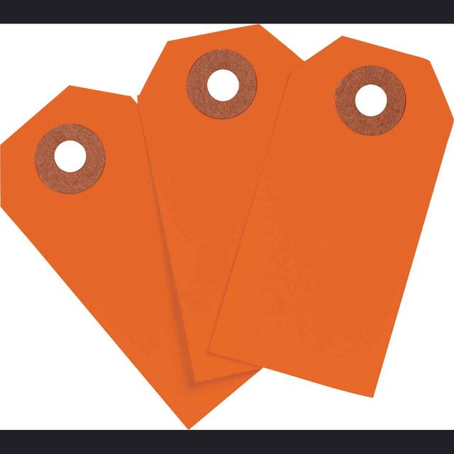 BLNK TAG FLR RED 2.75"X1.375" 10