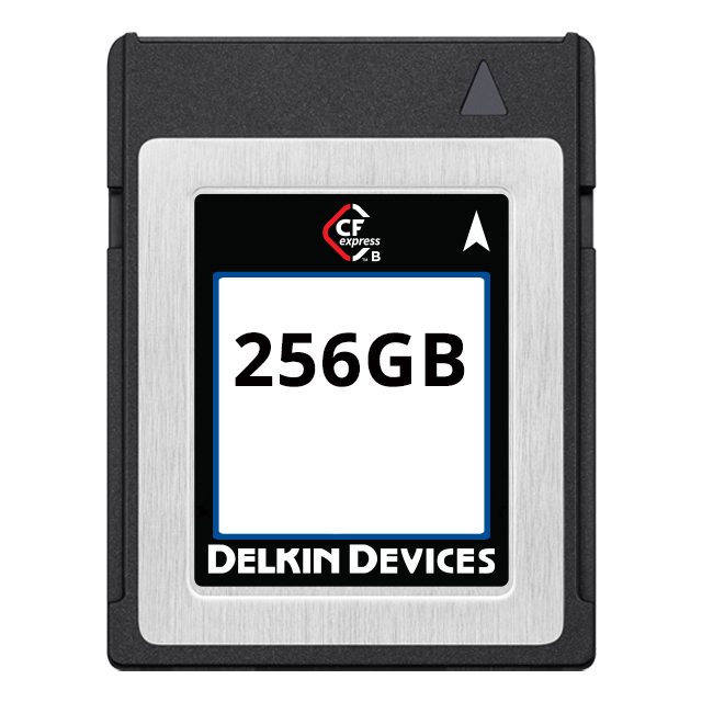 MEMORY CARD CFEXPRESS 256GB SLC
