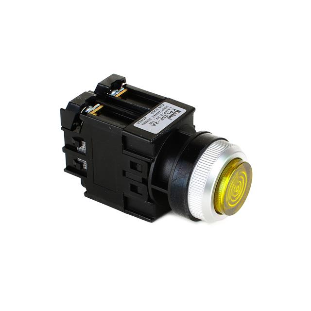 KPL30F-L2A-Y