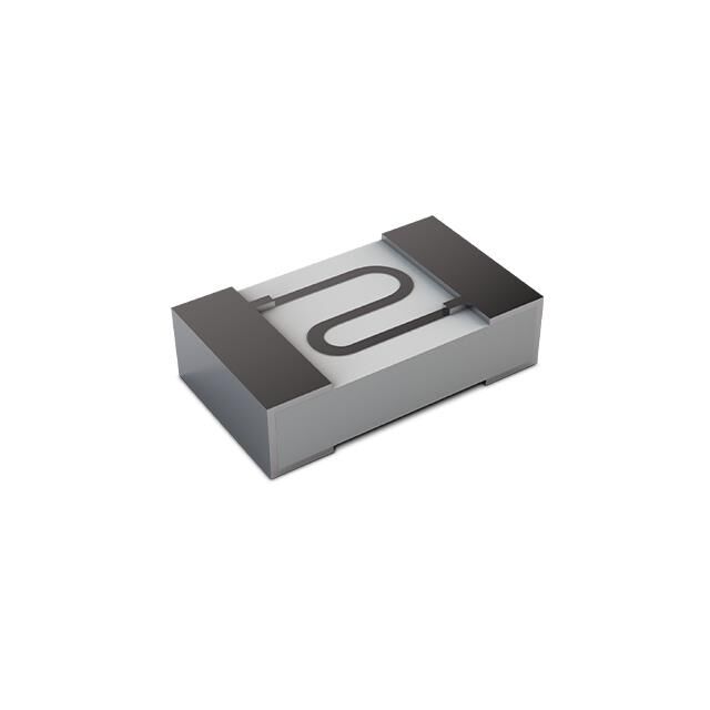 IGNITOR RES 2OHMS