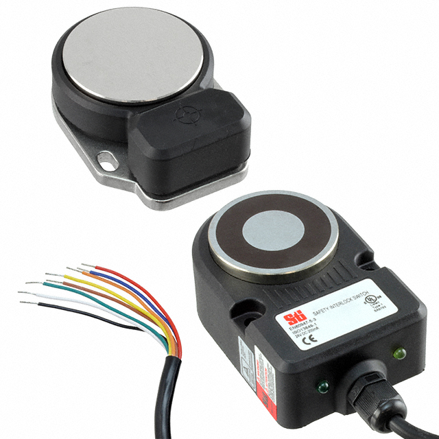 INTERLOCK RFID DPST