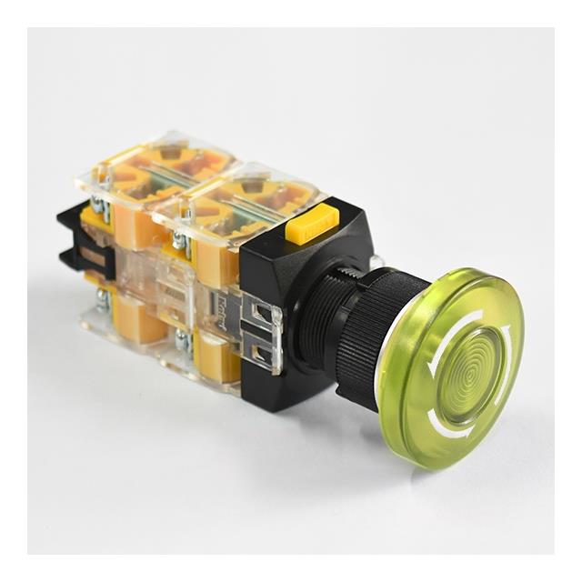NF25W-BER2CY22