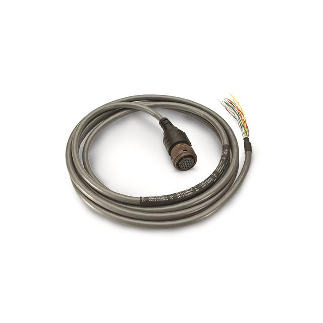 CABLE & CONN.ASSY 12-BIT 20
