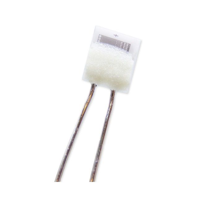 SENSOR RTD 100OHM RADIAL