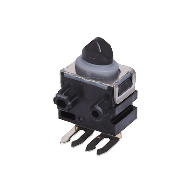 D2EW-R1-B03L